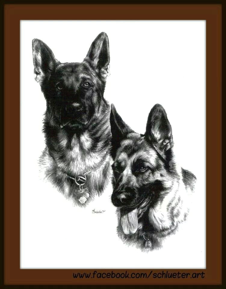 dog art hand drawn pieces print amp commissions available for very reasonable