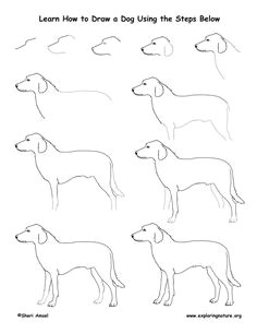 dog drawing lesson