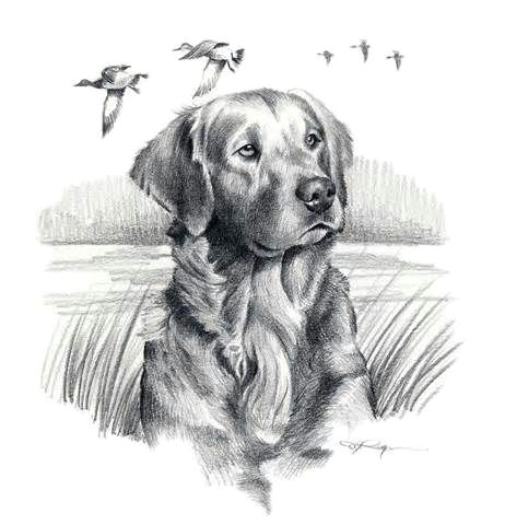 golden retriever dog art print signed by artist dj by k9artgallery