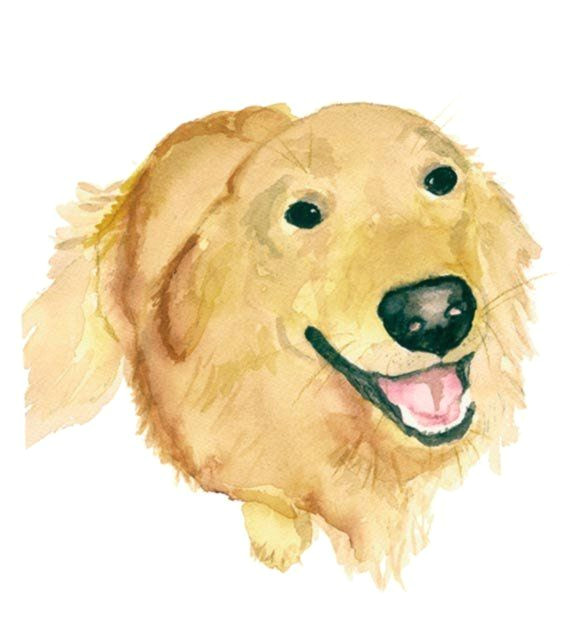 golden retriever print from original watercolor pet portrait dog art print yellow golden dog art