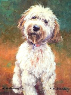 goldendoodle custom pet dog portrait oil commission painting from photo 8 x 10 impressionist wall art unique gift by kim stenberg