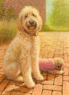 image result for goldendoodle painting