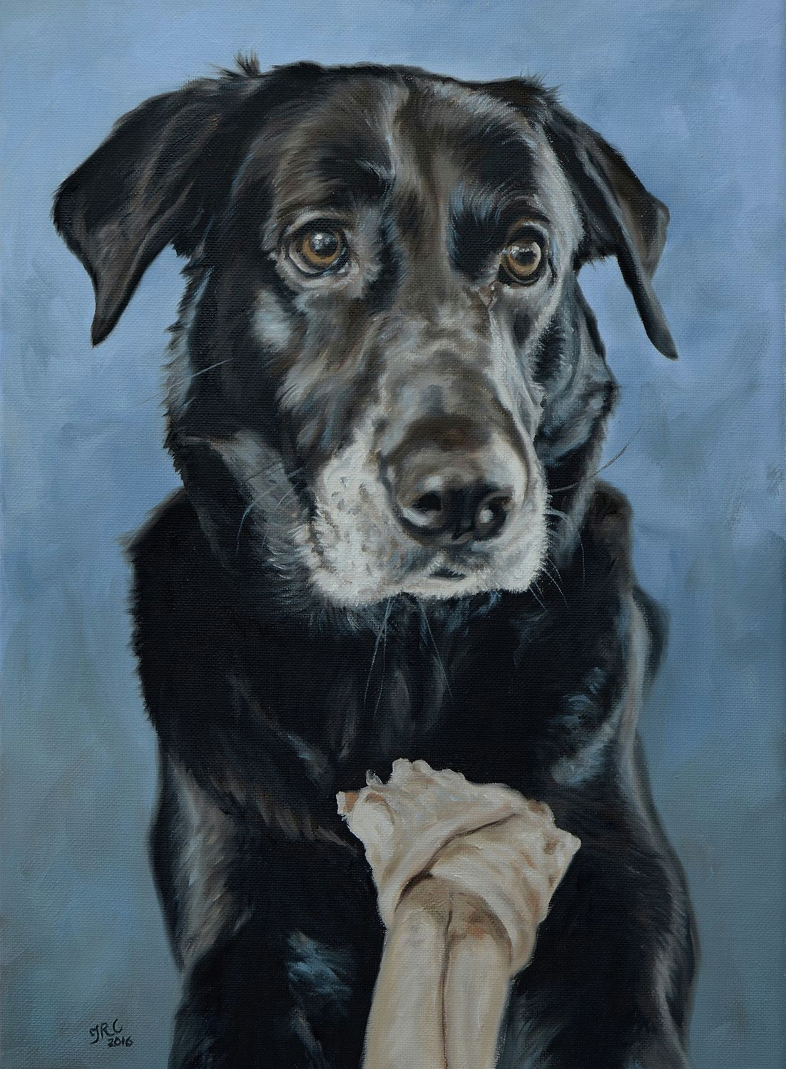 dog portrait painting of doc 12x16ins dogs cute pet portrait art pet painting labrador