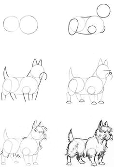 draw dogs a manera de dibujar un perro drawing lessons drawing techniques drawing tips drawing