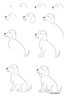 step by step lab dog drawing tutorial