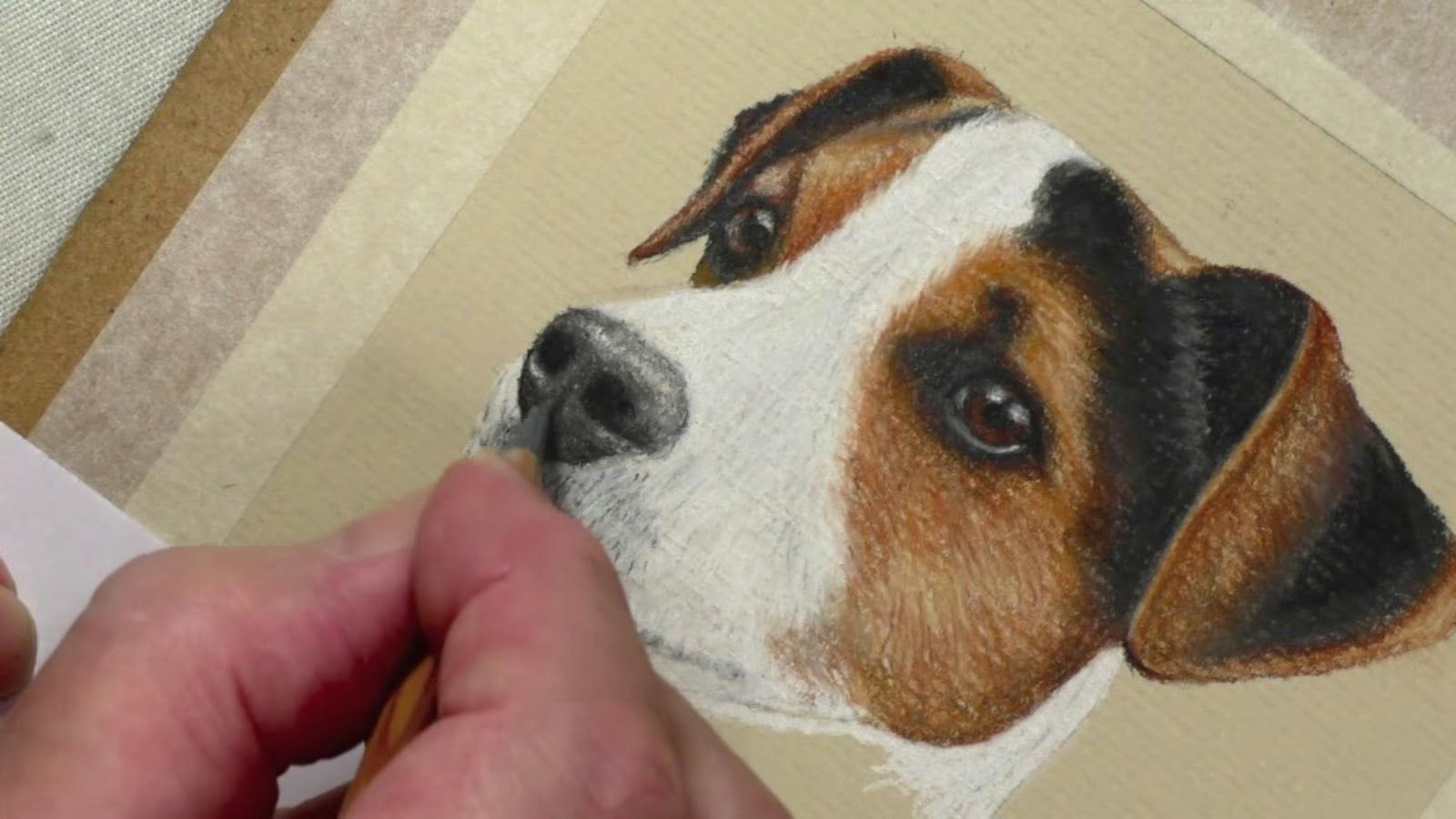 draw a jack russell pastel pencils