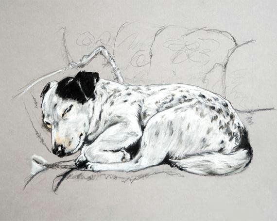 Dog Drawing Jake Jack Russell Print Of My Terrier Sketch Ideal Jack Russell Gifts