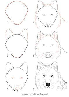 desenhos passo a passo pesquisa do google step by step drawing basic drawing