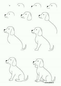 step by step lab dog drawing tutorial