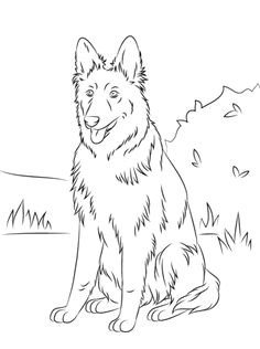 german shepherd coloring page german shepherd colors german shepherd dogs german shepherd painting