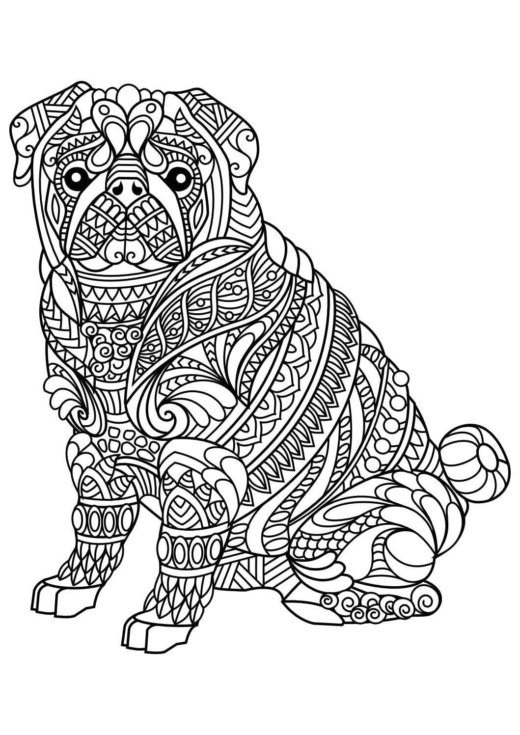 animal coloring pages pdf animal coloring pages is a free adult coloring book with 20 different animal pictures to color horse coloring pages dog cat