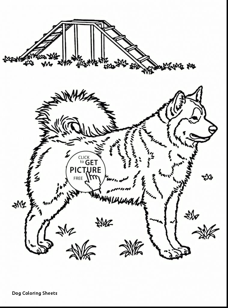 dog coloring sheets print color pages design printable coloring 0d animal pictures to print and color