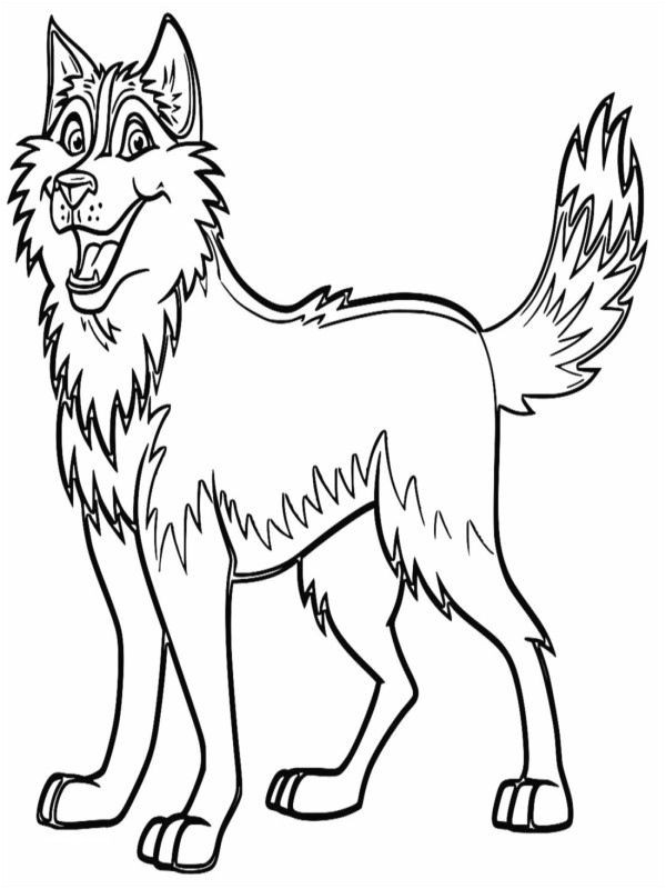 animal coloring sheet adorable husky coloring 0d free coloring pages