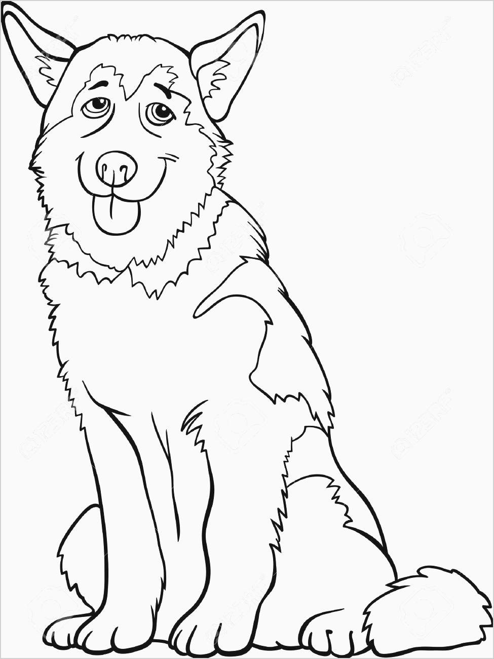 free printable coloring pages animals husky coloring 0d free