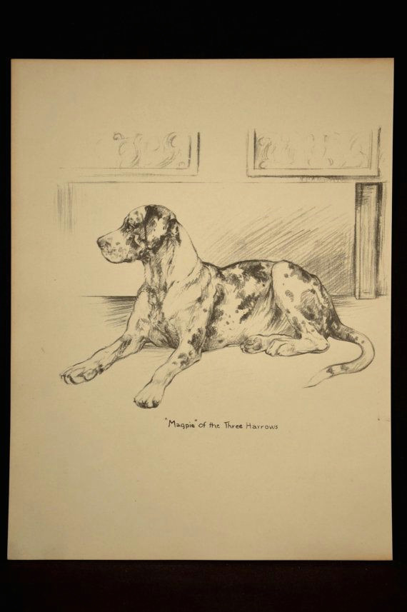 great dane print dog print great dane spotted by mapsbooksephemera