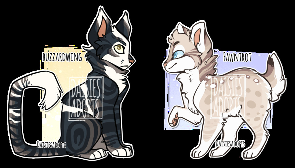 cat adoptables auction closed by daisiesadopts