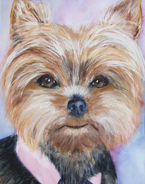 yorkie by phyllis gubins http www watercolorpets com amp www