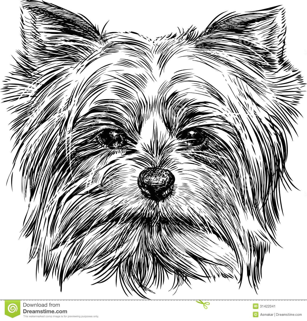 realistic looking yorkie in 4 hoop sizes 15256 stitches 18936 stitches 24760 stitches 30805 stitches