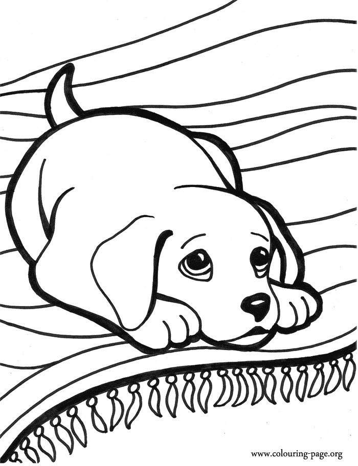 coloring pictures of puppys to print and color look at this cute puppy lying on the carpet it seems he is doing some