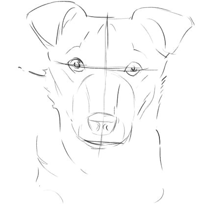the dog drawing in progress
