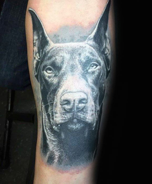 60 dobermann tattoo designs fur manner hund tinte ideen