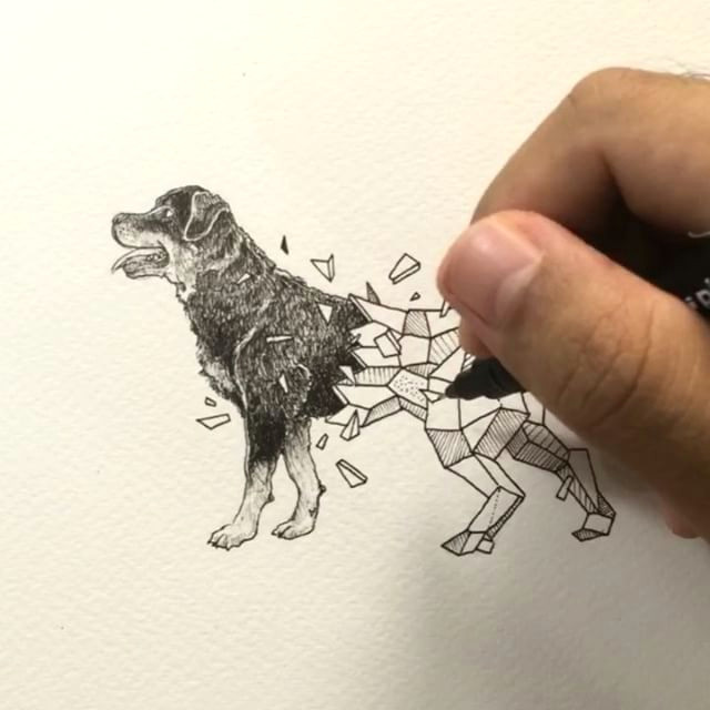 geometric beasts rottweiler inking process coloring pinterest drawings geometric drawing and tattoos