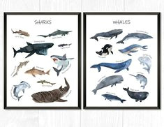 you will get 2 prints one with 10 different sharks and one with 10 different whales all drawn in watercolor basking shark bull shark spiny dogfish