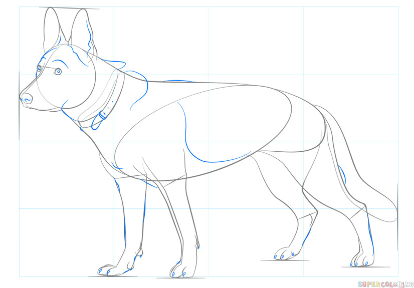 how to draw a german shepherd dog step by step drawing tutorials for kids and beginners