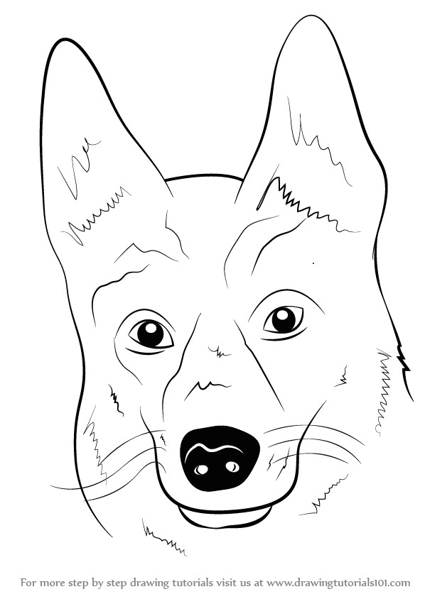 learn how to draw german shepherd dog face farm animals step by step drawing tutorials