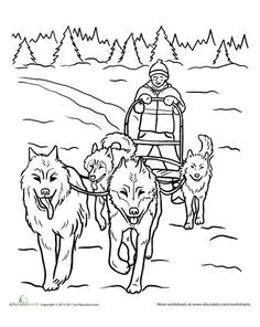 dog sled coloring page