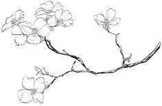 image result for dogwood tree branches dogwood flower tattoos dogwood flowers tree branch tattoo
