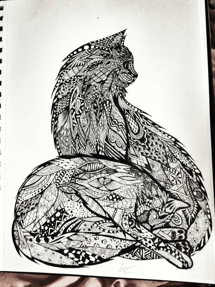 art cats doodle zentangle zentangle imgur zentangle cats art zentangle