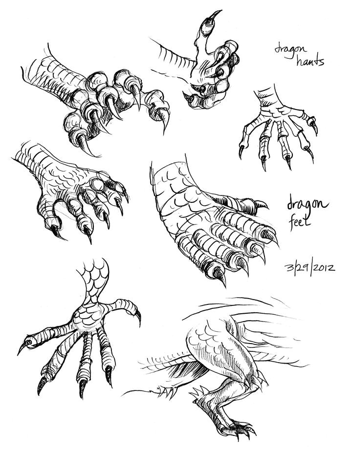 dragon claws feet text how to draw manga anime