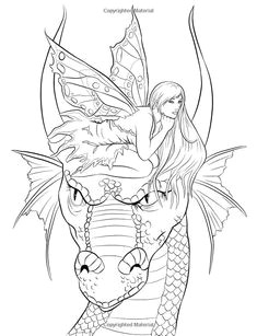 fairy companions coloring book fairy romance dragons and fairy pets fantasy art coloring by selina volume selina fenech