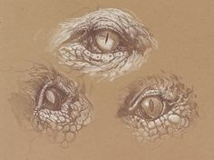 8 pro tips for drawing dragons more dragon eye