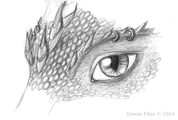 drawn eye dragon 6