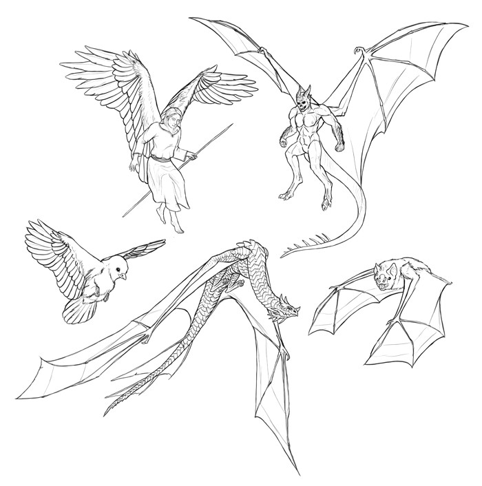 how to draw wings step by step 9