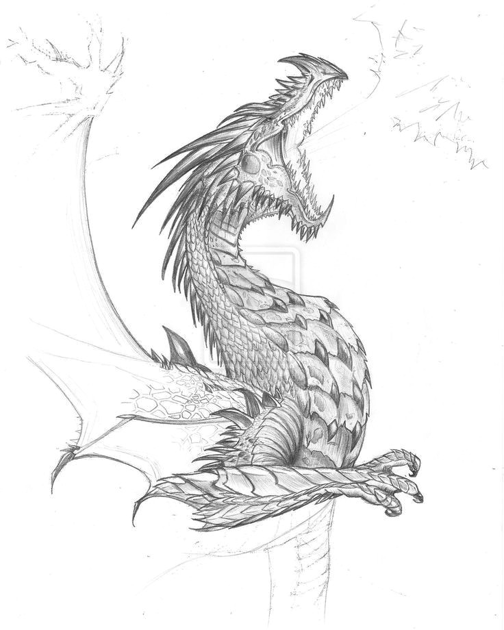 Dragons Fighting Drawing Pin by Tambre Kay On Expression Dragon Dragon Sketch Realistic