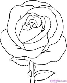 how to draw simple how to draw a simple rose step by step