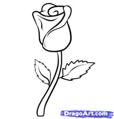 easy to draw sexiest rose how to draw a rose step 6 simple line drawings