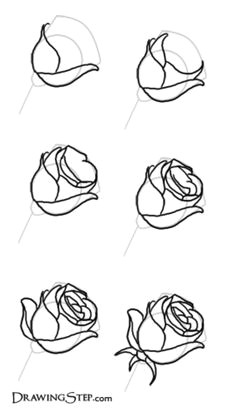 how to draw roses roos tekenen drawing of a rose drawing step rose