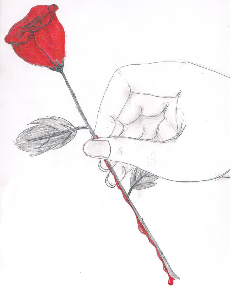 black rose drawing bleeding