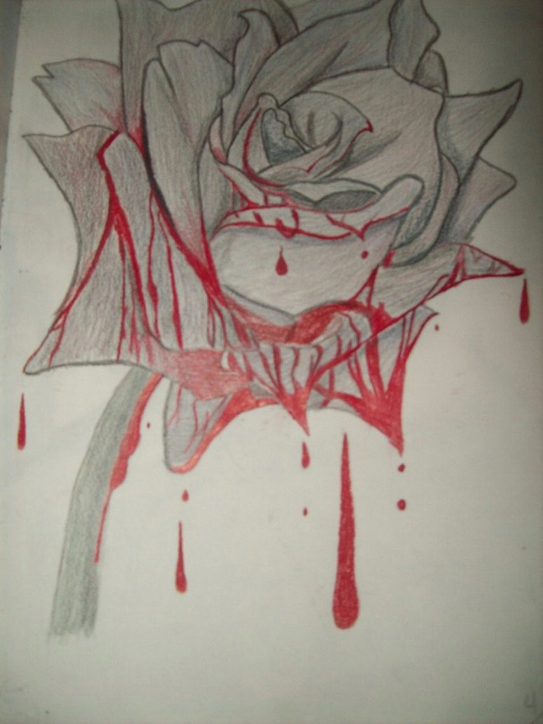 black rose drawing bleeding