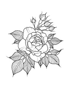roses amanda rodriguez ebook rose tattoos flower tattoos tatoos floral drawing flower