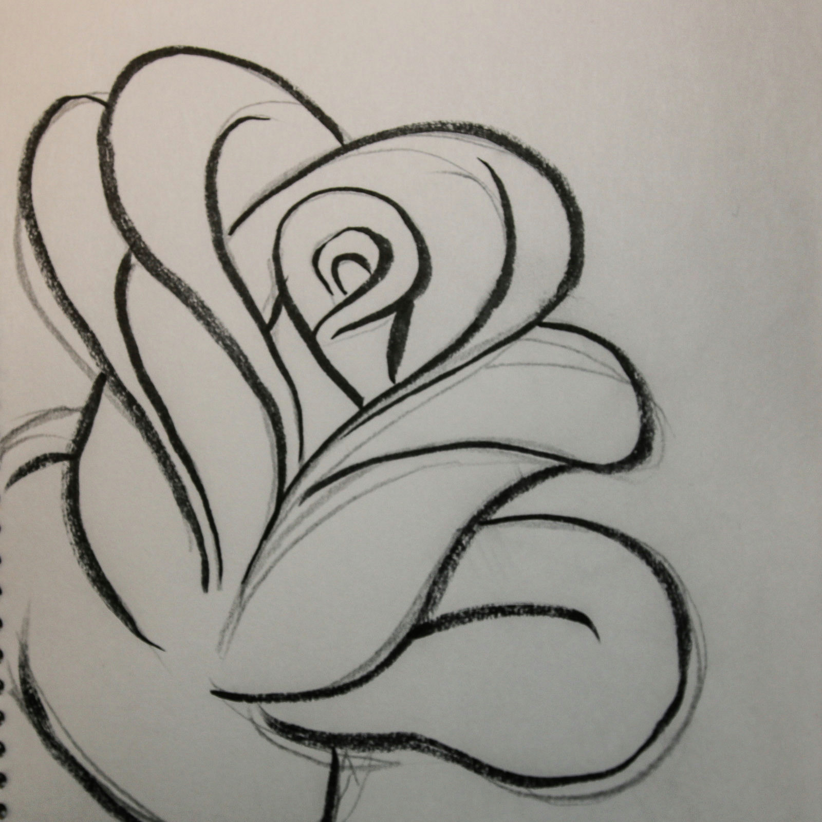 open rose drawing at getdrawings com free for personal use open