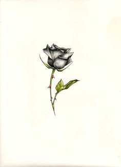 small rose tattoos google search more rose bud tattoo