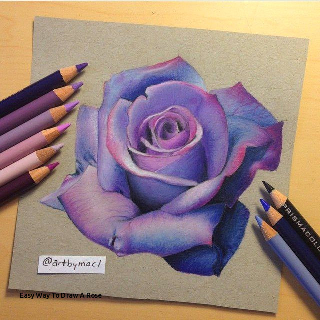 easy way to draw a rose 50 beautiful color pencil drawings from top artists around the