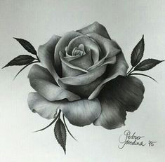 incredible realism rose art by