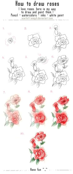 122 draw and paint roses by scarlett aimpyh on deviantart