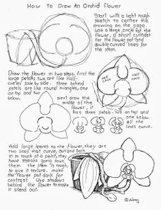 how to draw an orchid flower worksheet free how to draw worksheets for young artist